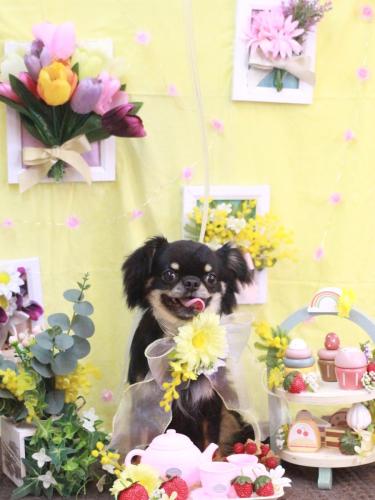 20230311ルナちゃん